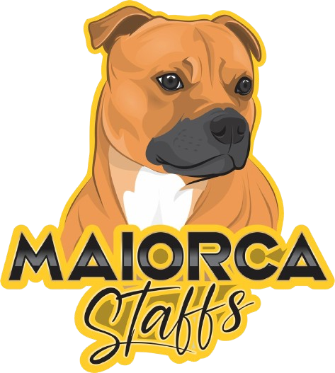 Canil Maiorca StaffordShire